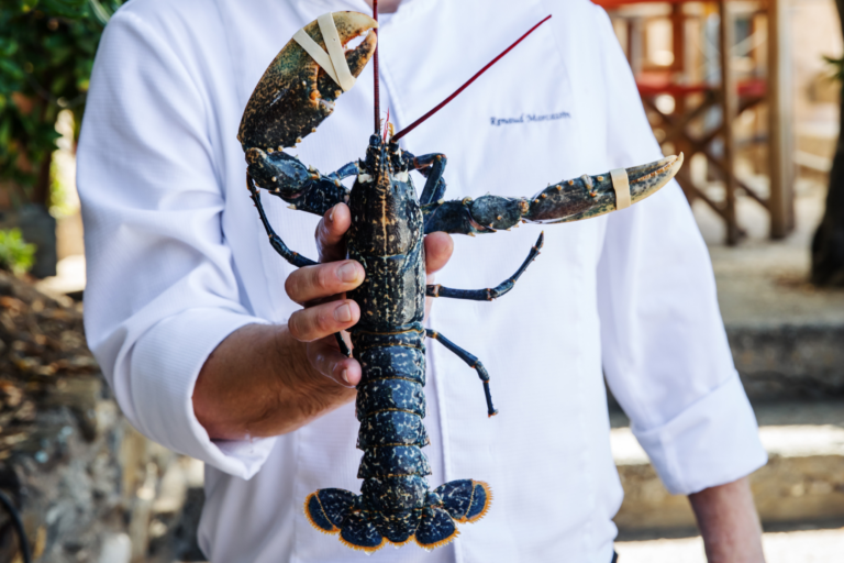 Le Bailli de Suffren - 4-Sterne-Hotel - Rayol Canadel - Golf von Saint Tropez