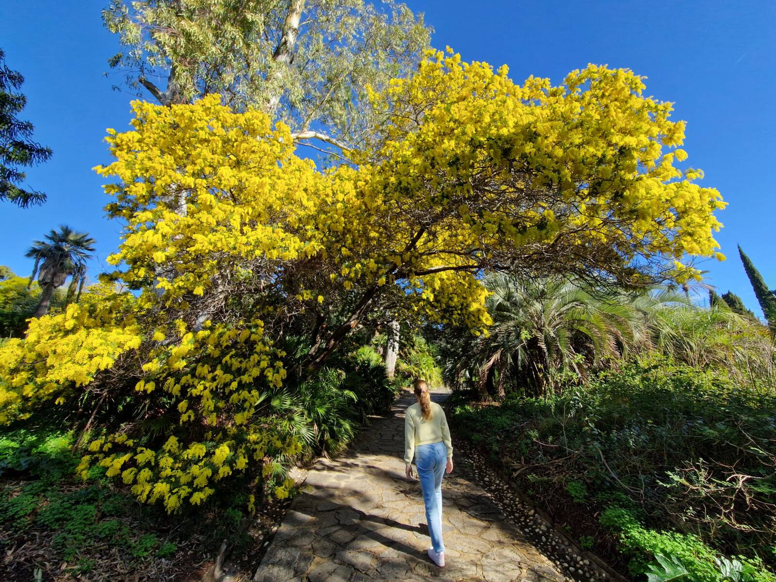 Le Bailli de Suffren - Hotel 4**** - Rayol Canadel - Golfe Saint-Tropez