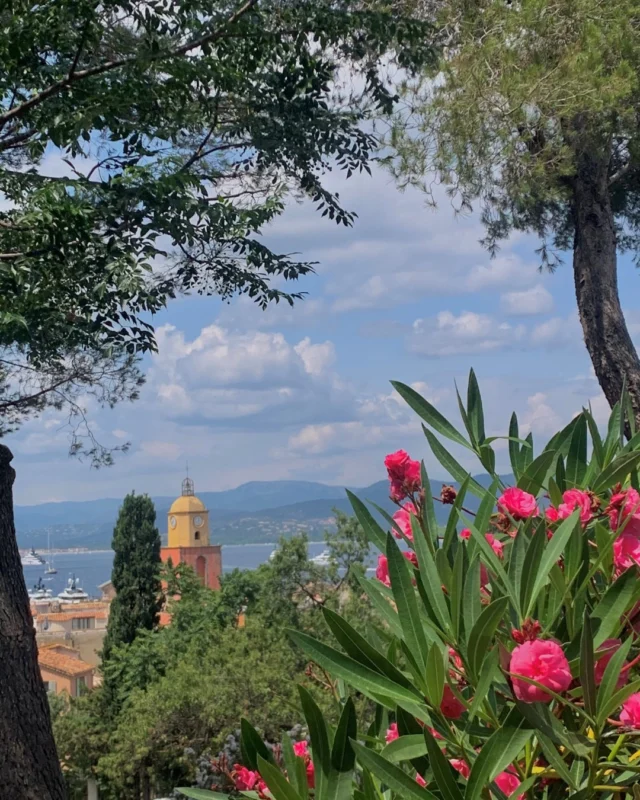 Des paysages magnifiques et le doux parfum des pins, voici le Sud de la France comme nous l'aimons 🌿
- 
Picture-perfect landscapes and the sweet scent of pine trees, this is the South of France we love 🌿

#lebaillidesuffren #lovebailli #baillimoments #domainedubailli #lespiedsdansleau #hotelview #seaview #beautifuldestinations #beautifuldestinations #perfectspot #happyplace #seaview #sainttropez #var #visitvar #golfedesainttropez #southoffrance #southernliving #frenchriviera #mediterranee #mediterraneanvibes #hotelwithaview #hotellife #beautifulhotels #hotelstay #hoteldesign #travelgram #travellife #slowlife