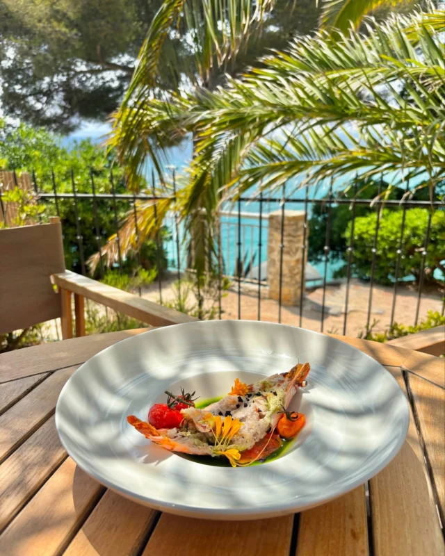 Carrousel de saveurs du mois de juin 🍒🥥🌺
- 
June’s Carrousel of Flavors 🍒🥥🌺 

#lebaillidesuffren #lovebailli #baillimoments #domainedubailli #lespiedsdansleau #hotelview #seaview #beautifuldestinations #beautifuldestinations #perfectspot #happyplace #seaview #sainttropez #var #visitvar #golfedesainttropez #southoffrance #southernliving #frenchriviera #mediterranee #mediterraneanvibes #hotelwithaview #hotellife #beautifulhotels #hotelstay #hoteldesign #travelgram #travellife #slowlife