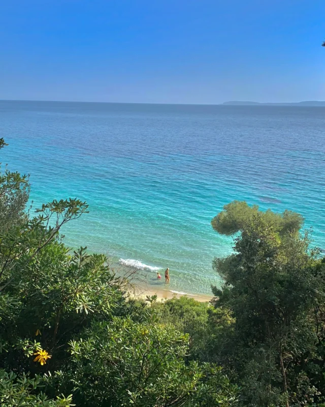 Des randonnées aux balades en bord de mer, le Var regorge de moments inoubliables 🚶‍♂️ 
- 
From scenic hikes to seaside strolls, the Var is full of unforgettable moments 🚶‍♂️

#lebaillidesuffren #lovebailli #baillimoments #domainedubailli #lespiedsdansleau #hotelview #seaview #beautifuldestinations #beautifuldestinations #perfectspot #happyplace #seaview #sainttropez #var #visitvar #golfedesainttropez #southoffrance #southernliving #frenchriviera #mediterranee #mediterraneanvibes #hotelwithaview #hotellife #beautifulhotels #hotelstay #hoteldesign #travelgram #travellife #slowlife