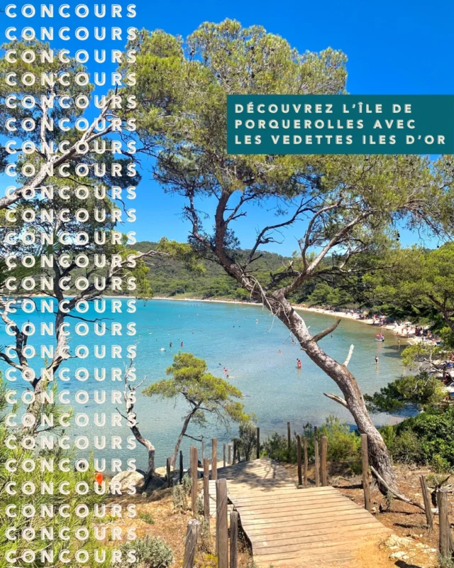 ⛵️ CONCOURS ⛵️
Envie d’une escapade au grand air ? 🌊
Tentez de gagner un bon cadeau pour découvrir Porquerolles, son charme authentique et ses paysages paradisiaques avec @vedettesilesdor ✨

🎁 PRIX :
Un bon cadeau pour 2 personnes vers Porquerolles (valable jusqu’en avril 2026). Traversée aller-retour au départ du Lavandou ou de Cavalaire 🌴

👉 Pour participer :
1️⃣ Suivre @lebaillidesuffren, @lesterrassesdubailli, @laresidencedubailli et @vedettesilesdor
2️⃣ Liker ce post 💙
3️⃣ Laisser en commentaire la personne avec qui vous aimeriez partir à Porquerolles 👫
(chaque commentaire = une chance de gagner)

🌟 Bonus : Partagez cette publication en story et identifiez nous pour doubler vos chances !

📆 Le concours se termine le 19 septembre, et le gagnant sera annoncé le lendemain sur notre compte.

Prêts à larguer les amarres ? 🚤

- 

⛵️ CONTEST ⛵️ 
Enter to win a gift voucher to discover Porquerolles with @vedettesilesdor 🌊

🎁 PRIZE:
A gift voucher for two people to Porquerolles (valid until April 2026). Return trip from Le Lavandou or Cavalaire 🌴

👉 To enter:
1️⃣ Follow @lebaillidesuffren, @lesterrassesdubailli, @laresidencedubailli and @vedettesilesdor
2️⃣ Like this post 💙
3️⃣ Leave a comment with the name of the person you would like to take to Porquerolles 👫
(each comment = one chance to win)

🌟 Bonus: Share this post in your story and tag us !

📆 The contest ends on September 19, and the winner will be announced the following day on our account. 

#lebaillidesuffren #lovebailli #baillimoments #domainedubailli #lespiedsdansleau #hotelview #seaview #beautifuldestinations #beautifuldestinations #perfectspot #happyplace #seaview #sainttropez #var #visitvar #golfedesainttropez #southoffrance #southernliving #frenchriviera #mediterranee #mediterraneanvibes #hotelwithaview #hotellife #beautifulhotels #hotelstay #hoteldesign #travelgram #travellife #slowlife