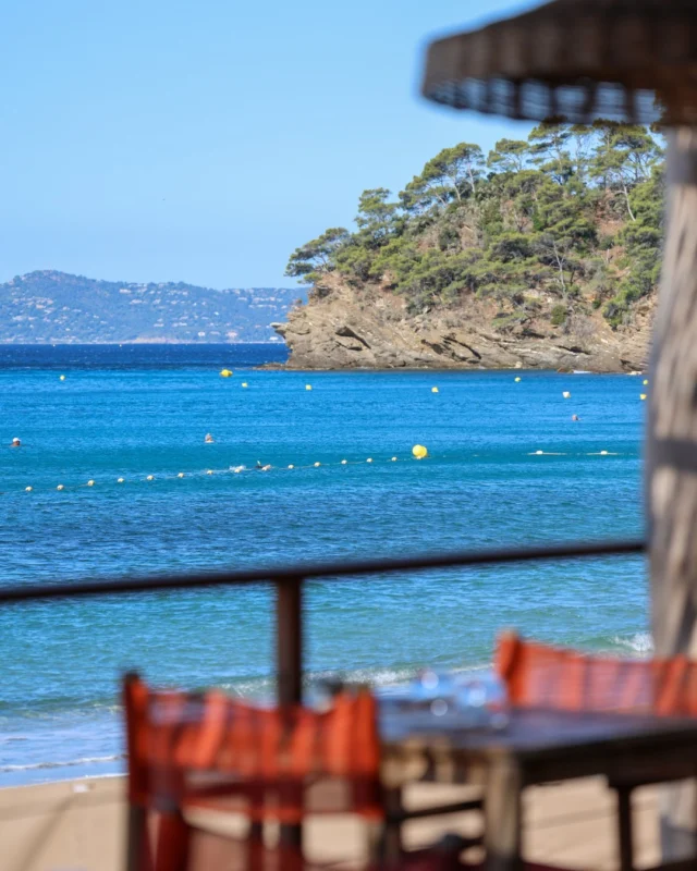 Notre menu vous attend, mais ne tardez pas trop, L'Escale ferme ses portes le 11 octobre ! 🐟 
- 
Our menu is waiting for you but don’t wait too long, L’Escale closes October 11th! 🐟

#lebaillidesuffren #lovebailli #baillimoments #domainedubailli #lespiedsdansleau #hotelview #seaview #beautifuldestinations #beautifuldestinations #perfectspot #happyplace #seaview #sainttropez #var #visitvar #golfedesainttropez #southoffrance #southernliving #frenchriviera #mediterranee #mediterraneanvibes #hotelwithaview #hotellife #beautifulhotels #hotelstay #hoteldesign #travelgram #travellife #slowlife