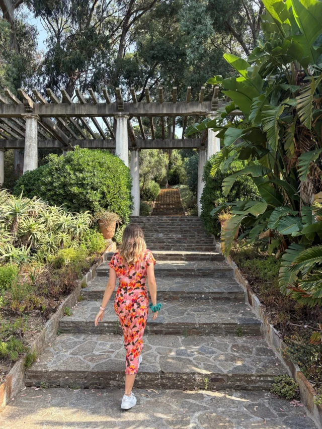 Entre mer et jardins, découvrez la magie du Domaine du Rayol, à quelques pas du Bailli de Suffren 🌺 
- 
Between the sea and the gardens, discover the magic of Le Domaine du Rayol, just a short walk away from Le Bailli de Suffren 🌺 

#lebaillidesuffren #lovebailli #baillimoments #domainedubailli #lespiedsdansleau #hotelview #seaview #beautifuldestinations #beautifuldestinations #perfectspot #happyplace #seaview #sainttropez #var #visitvar #golfedesainttropez #southoffrance #southernliving #frenchriviera #mediterranee #mediterraneanvibes #hotelwithaview #hotellife #beautifulhotels #hotelstay #hoteldesign #travelgram #travellife #slowlife
