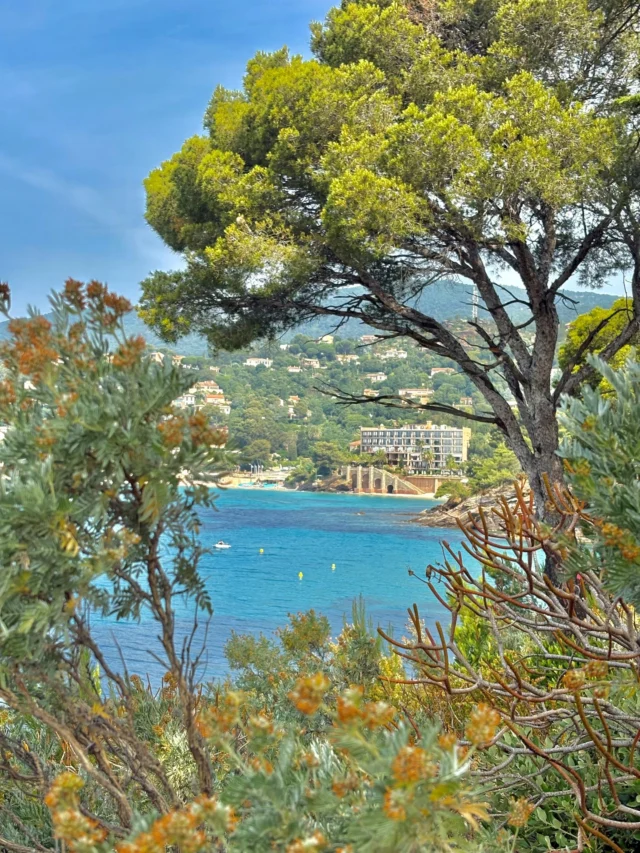 À quelques pas seulement de la beauté de la nature, entre vue sur la mer et jardins méditerranéens 🌿 
- 
Just a few steps from nature’s beauty, between sea views and Mediterranean gardens 🌿 

#lebaillidesuffren #lovebailli #baillimoments #domainedubailli #lespiedsdansleau #hotelview #seaview #beautifuldestinations #beautifuldestinations #perfectspot #happyplace #seaview #sainttropez #var #visitvar #golfedesainttropez #southoffrance #southernliving #frenchriviera #mediterranee #mediterraneanvibes #hotelwithaview #hotellife #beautifulhotels #hotelstay #hoteldesign #travelgram #travellife #slowlife