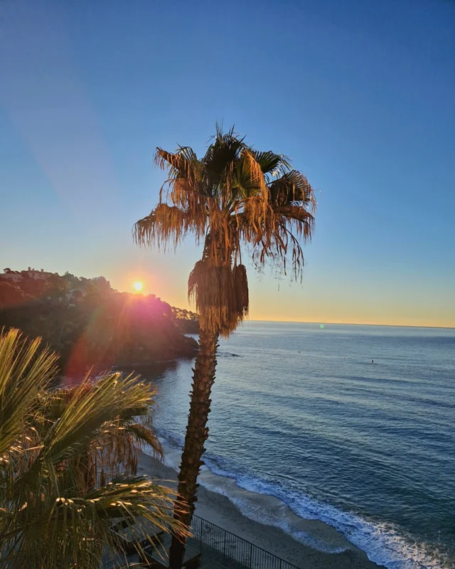 Voici à quoi ressemble l'hiver au bord de la Méditerranée ✨
- 
This is what winter looks like by the Mediterranean ✨

#lebaillidesuffren #lovebailli #baillimoments #domainedubailli #lespiedsdansleau #hotelview #seaview #beautifuldestinations #beautifuldestinations #perfectspot #happyplace #seaview #sainttropez #var #visitvar #golfedesainttropez #southoffrance #southernliving #frenchriviera #mediterranee #mediterraneanvibes #hotelwithaview #hotellife #beautifulhotels #hotelstay #hoteldesign #travelgram #travellife #slowlife