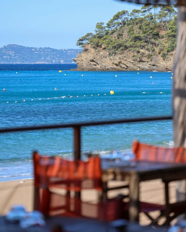 Vue sur la mer, repas de qualité et un moment pour simplement ralentir le rythme, c'est exactement le genre d'escapade qui nous plaît 🍽️ 
- 
Sea views, quality meals, and time to simply slow down, this is our kind of escape 🍽️ 

#lebaillidesuffren #lovebailli #baillimoments #domainedubailli #lespiedsdansleau #hotelview #seaview #beautifuldestinations #beautifuldestinations #perfectspot #happyplace #seaview #sainttropez #var #visitvar #golfedesainttropez #southoffrance #southernliving #frenchriviera #mediterranee #mediterraneanvibes #hotelwithaview #hotellife #beautifulhotels #hotelstay #hoteldesign #travelgram #travellife #slowlife