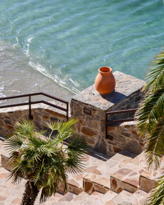 Des journées tranquilles au bord de la mer et l'été déjà dans nos têtes 🌊 
- 
Calm days by the sea and summer already on our minds 🌊 

#lebaillidesuffren #lovebailli #baillimoments #domainedubailli #lespiedsdansleau #hotelview #seaview #beautifuldestinations #beautifuldestinations #perfectspot #happyplace #seaview #sainttropez #var #visitvar #golfedesainttropez #southoffrance #southernliving #frenchriviera #mediterranee #mediterraneanvibes #hotelwithaview #hotellife #beautifulhotels #hotelstay #hoteldesign #travelgram #travellife #slowlife