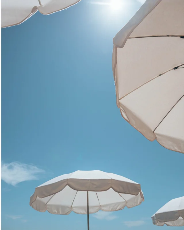 La nature, la lumière et le sentiment d'être exactement là où l'on doit être ✨ 
- 
Nature, light, and the feeling of being exactly where you should be ✨ 

#lebaillidesuffren #domainedubailli #sainttropez #visitvar #frenchriviera
