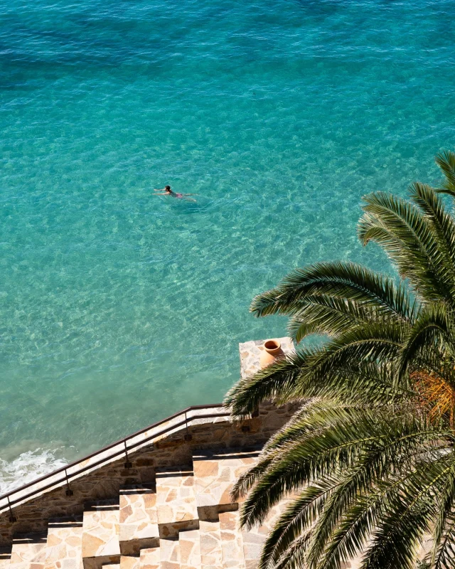 La côte varoise ne cesse de surprendre, quel que soit le nombre de fois où on la visite 🌿 
- 
The Var coast never fails to surprise, no matter how many times you visit 🌿 

#lebaillidesuffren #domainedubailli #sainttropez #visitvar #frenchriviera